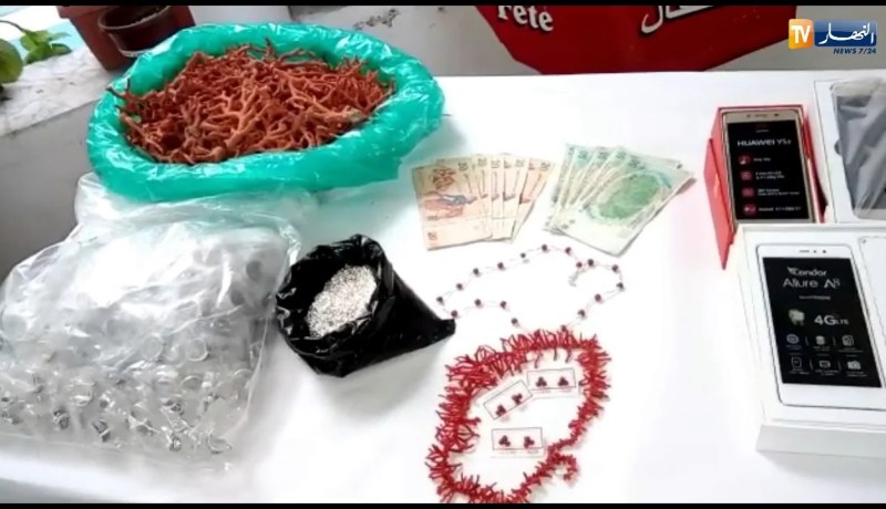 حجز 4 كلغ من الفضة بالحدود الجزائرية التونسية.. معبر لعيون