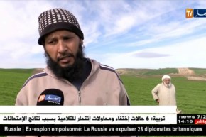 غليزان : عندما تتحول الأراضي البور..إلى مصدر مُنتج للعدس !!