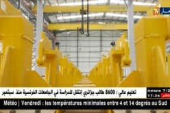 صناعة: بناء وتجهيز المصانع..شركات محلية ترفع التحدي