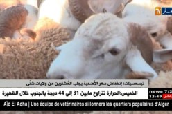 تيسمسيلت/ إنخفاض سعر الأضحية يجلب المشترين من ولايات شتى