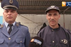 الطارف: حجز 2281 قرص مهلوس وتوقيف شخصين ببلدية بن مهيدي