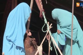 ورقلة/ الحاجة عائشة..المرأة الصحراوية تشارك في مسابقة أحسن خيمة