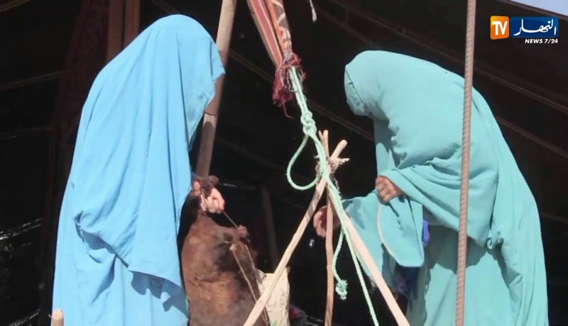 ورقلة/ الحاجة عائشة..المرأة الصحراوية تشارك في مسابقة أحسن خيمة