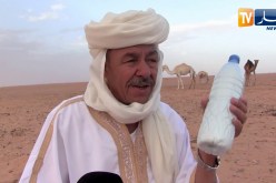 غرداية: خبراء في تربية الإبل.. هذه هي أضرار ومنافع حليب الناقة