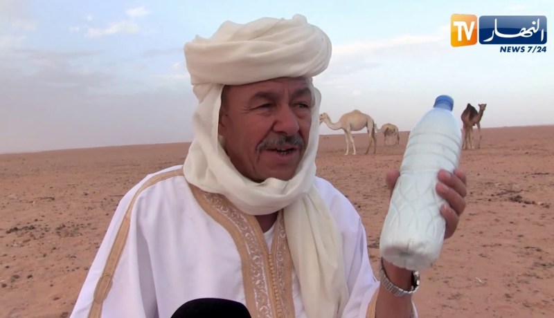 غرداية: خبراء في تربية الإبل.. هذه هي أضرار ومنافع حليب الناقة