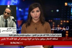 تصريحات لتحقيق الإكتفاء الذاتي للقمح خلال 4 سنوات..والإحصائيات تعكس ذلك