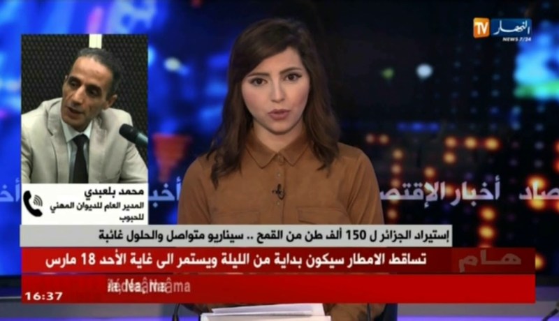 تصريحات لتحقيق الإكتفاء الذاتي للقمح خلال 4 سنوات..والإحصائيات تعكس ذلك