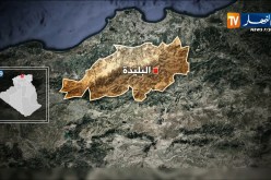 بعد بث فيديو على تلفزيون النهار.. أمن البليدة يوقف سارق المحلات