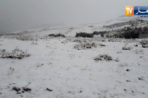 مشاهد ساحرة للثلوج بتيسمسيلت