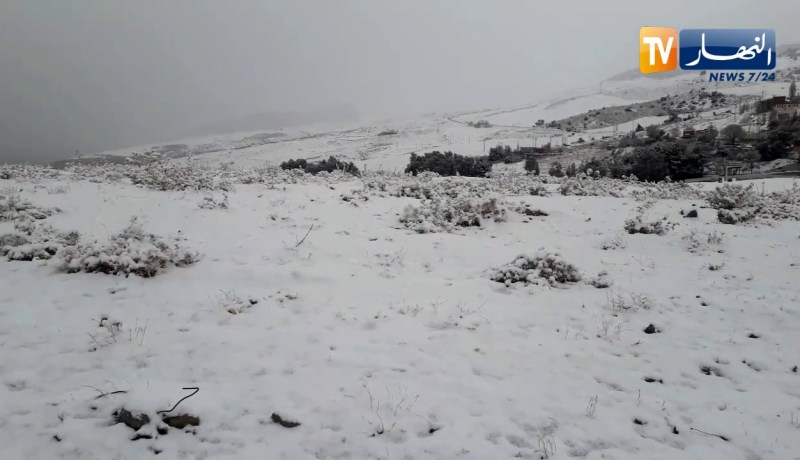 مشاهد ساحرة للثلوج بتيسمسيلت