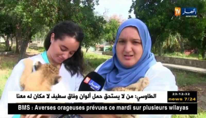 جيجل: ميلاد شبلين بحديقة الحيوانات لبرج بليدة