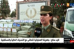 سطيف/ درك العلمة يحجز أزيد من مليون قطعة سنيال