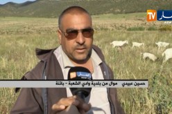 باتنة/ داء الحمى القلاعية يكبد المربين خسائر كبيرة ببلدية وادي الشعبة