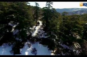 طالع هابط: شاهد جمال وسحر بلادي من تسيمسيلت