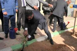 تبسة: باحميد يغرس شجرة زيتون تبركا بالمقر الجديد للجمارك !!