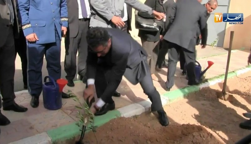 تبسة: باحميد يغرس شجرة زيتون تبركا بالمقر الجديد للجمارك !!