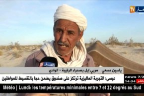 الوادي: موالون يدقون ناقوس الخطر لغياب الماء ..المراعي النموذجية مطلبهم