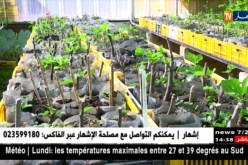 جيجل : مشتلة واد كيسير ..حفاظ على الغطاء الغابي من الكوارث الطبيعية و البشرية