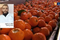 البرتقال الفاكهة الأكثر رواجا في زمن الكورونا