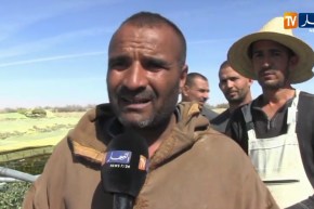 بسكرة/ خسائر كبيرة لأصحاب البيوت البلاستيكية بزريبة الوادي بفعل الرياح القوية