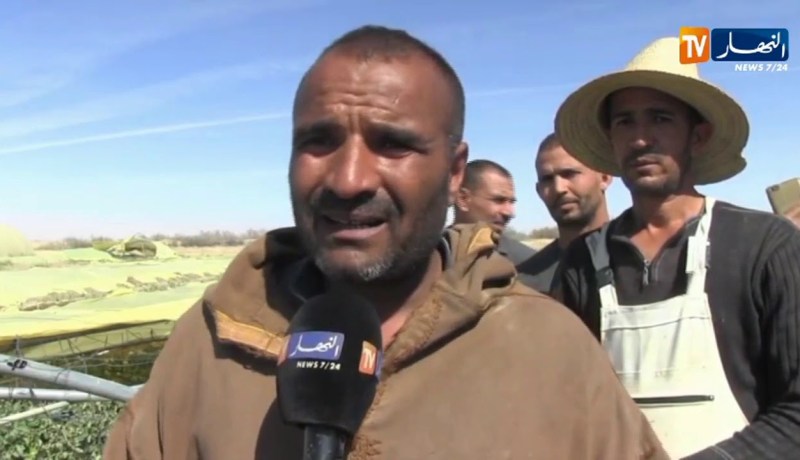 بسكرة/ خسائر كبيرة لأصحاب البيوت البلاستيكية بزريبة الوادي بفعل الرياح القوية