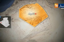 الجيش يوقف تاجر مخدرات وبحوزته 34.5 كلغ من الزطلة في تندوف والغزوات
