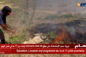 باتنة/ نشوب حريق بمساحات شاسعة من الأراضي بوادي الطاقة