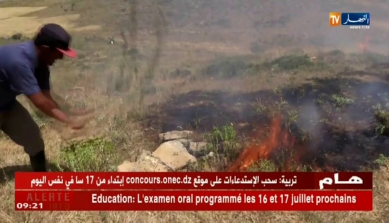 باتنة/ نشوب حريق بمساحات شاسعة من الأراضي بوادي الطاقة