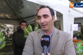 فلاحة/ تجارب جديدة ناجحة في إنتاج الموز بولاية البليدة