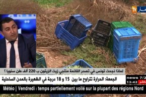 المرتبة التاسعة للجزائر في إنتاج زيت الزيتون..ما مدى واقعية الترتيب ؟