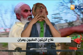 الشيخ النوي.. فلاحة الزيتون المغبون بوهران