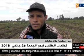 عنابة/ الإستعانة بشباب من خارج الولاية لجني المحاصيل..