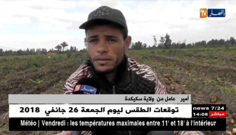 عنابة/ الإستعانة بشباب من خارج الولاية لجني المحاصيل..