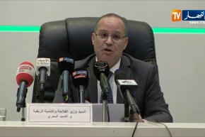 بوعزقي: “260 ألف هكتار مساحة الأشجار المثمرة على المستوى الوطني”