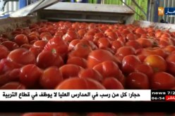 صناعة: شراكة بين القطاع العام والخاص لبعث الإستثمار في الصناعات الغذائية