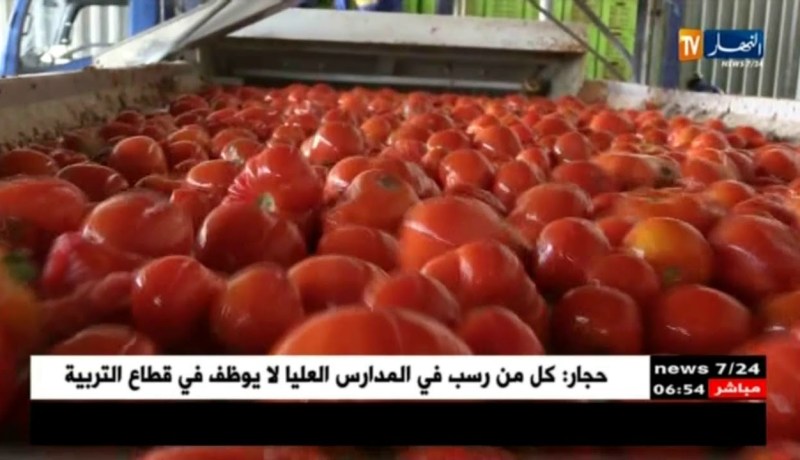 صناعة: شراكة بين القطاع العام والخاص لبعث الإستثمار في الصناعات الغذائية