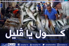 سعر السردين ينزل إلى 200دج في الشلف