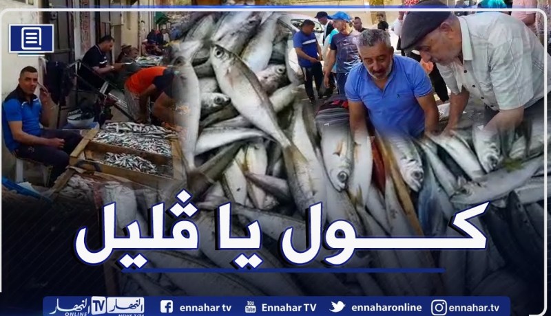 سعر السردين ينزل إلى 200دج في الشلف