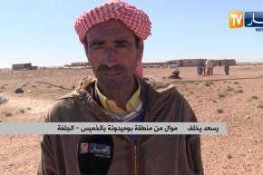 الجلفة: منطقة “بوميدونة” بالخميس .. ثروة فلاحية وحيوانية مهددة بالزوال