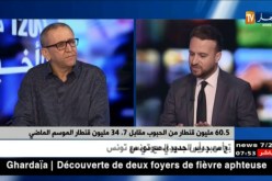 الجزائر تحقق رقما قياسيا في إنتاج الحبوب..إرتفاع بـ63 بالمائة !