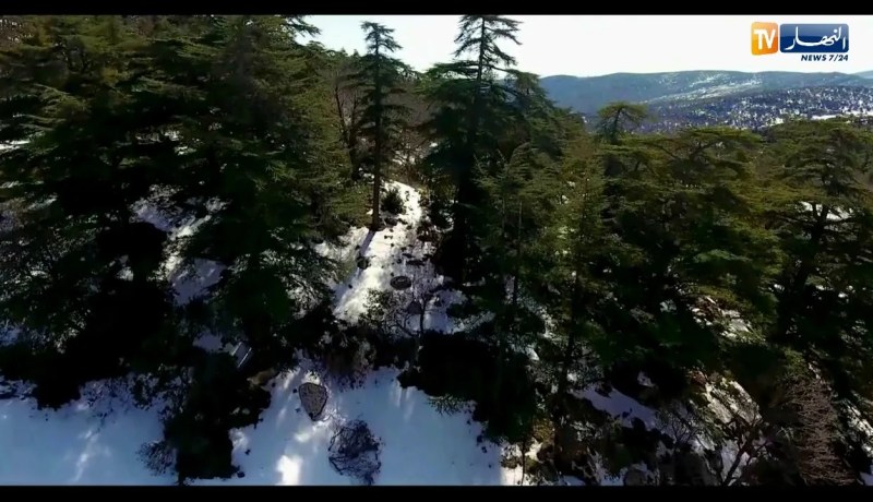 طالع هابط: شاهد جمال وسحر بلادي من تسيمسيلت