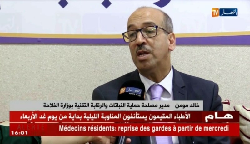 خالد مومن: تم تصدير أكثر من 45 ألف طن من الخضر والفواكه في ظرف 6 أشهر