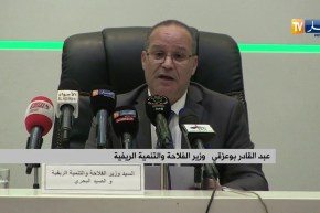 فلاحة/ “بوعزقي” يكشف عن إحصائيات الإنتاج المحلي لشعبة الأشجار المثمرة