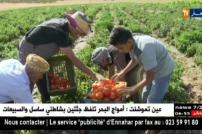 فلاحة : دار الفلاح …مشروع سينهي بيروقراطية قطاع الفلاحة