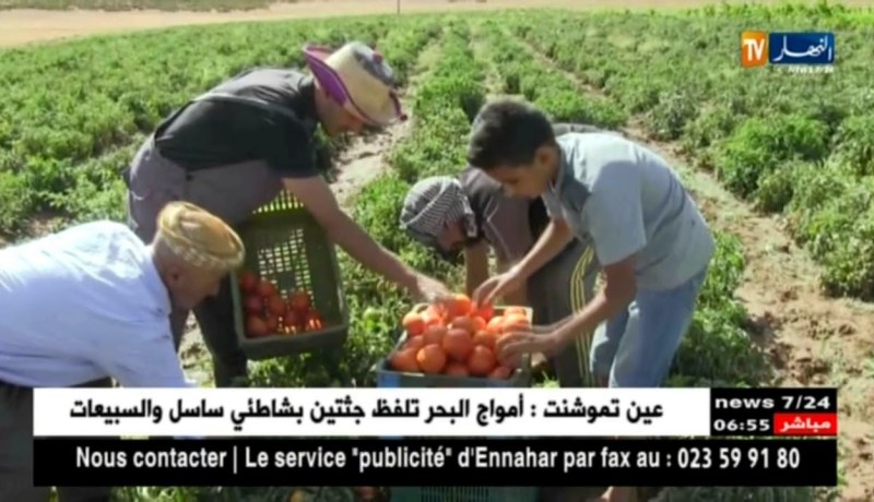 فلاحة : دار الفلاح …مشروع سينهي بيروقراطية قطاع الفلاحة