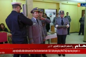 جمارك/ إرتفاع نسبة التصريحات الجمركية في ميناء الجزائر بـ 20 في المائة