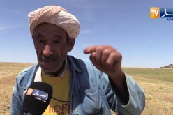 غليزان: تراجع في والفلاحون يطالبون بالنظر إلى مشاكلهم