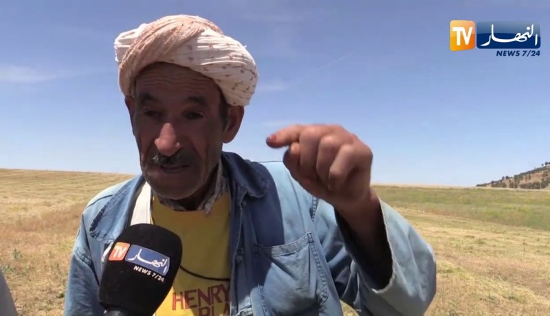 غليزان: تراجع في والفلاحون يطالبون بالنظر إلى مشاكلهم