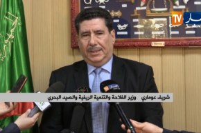 فلاحة: ترقية الإستثمار في قطاع الصيد البحري ووعود بوفرة المنتوج بسعر مميز