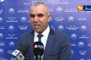 شريف قادري: إنطلاق مشروع خاص بتربية الجمبري في الأحواض بولاية بومرداس